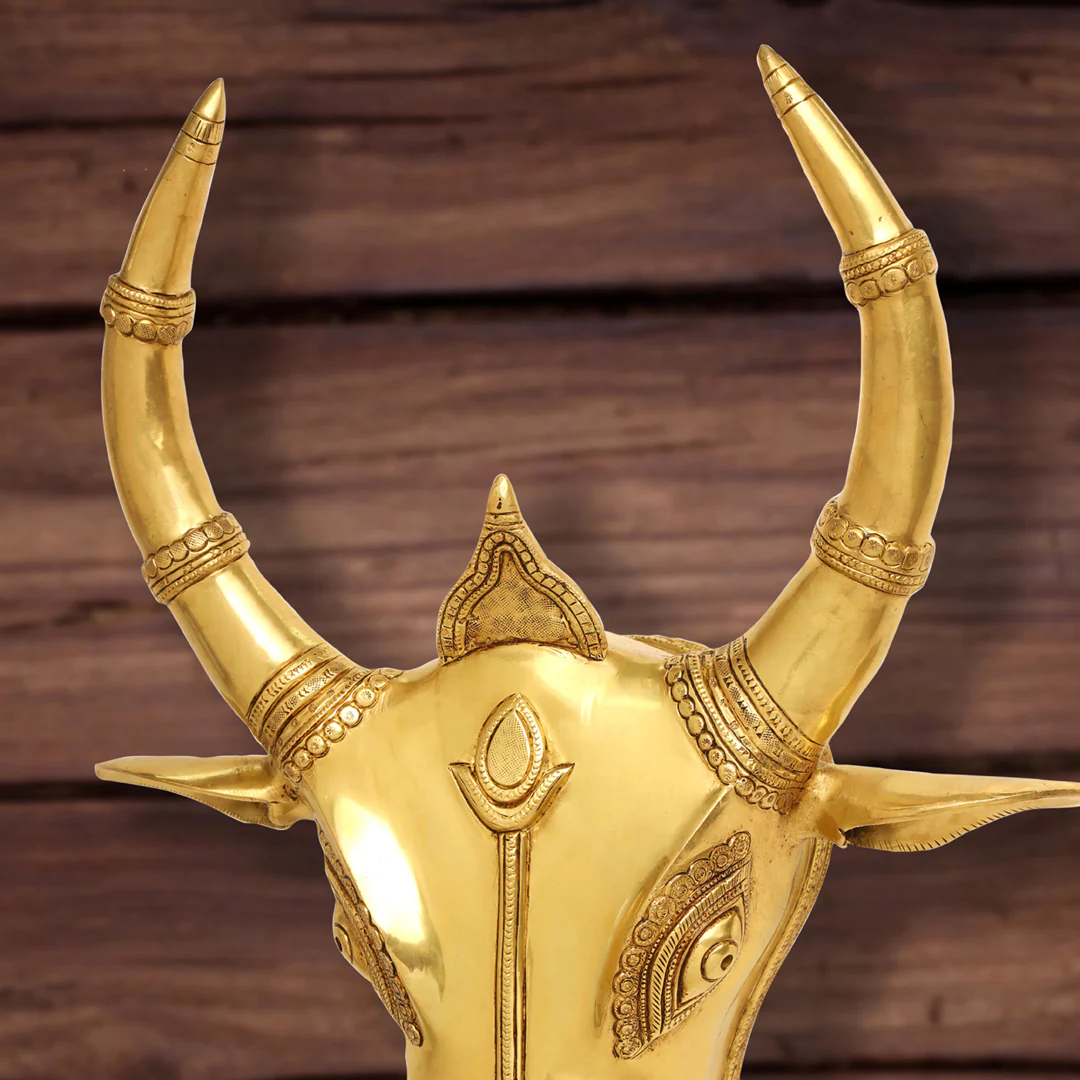 Brass Bull Head Wall Hanging (18 Inch) - Image 4