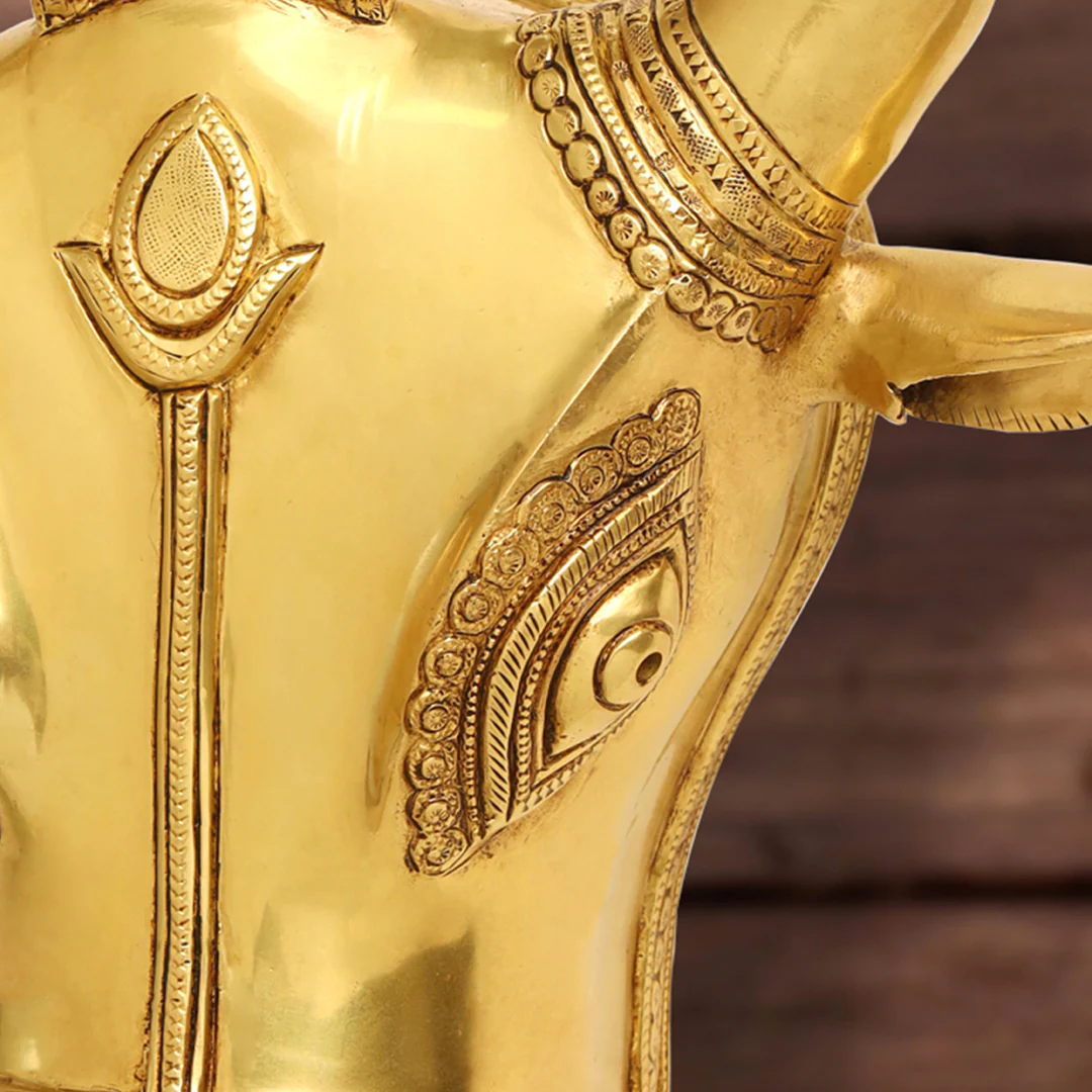 Brass Bull Head Wall Hanging (18 Inch) - Image 5