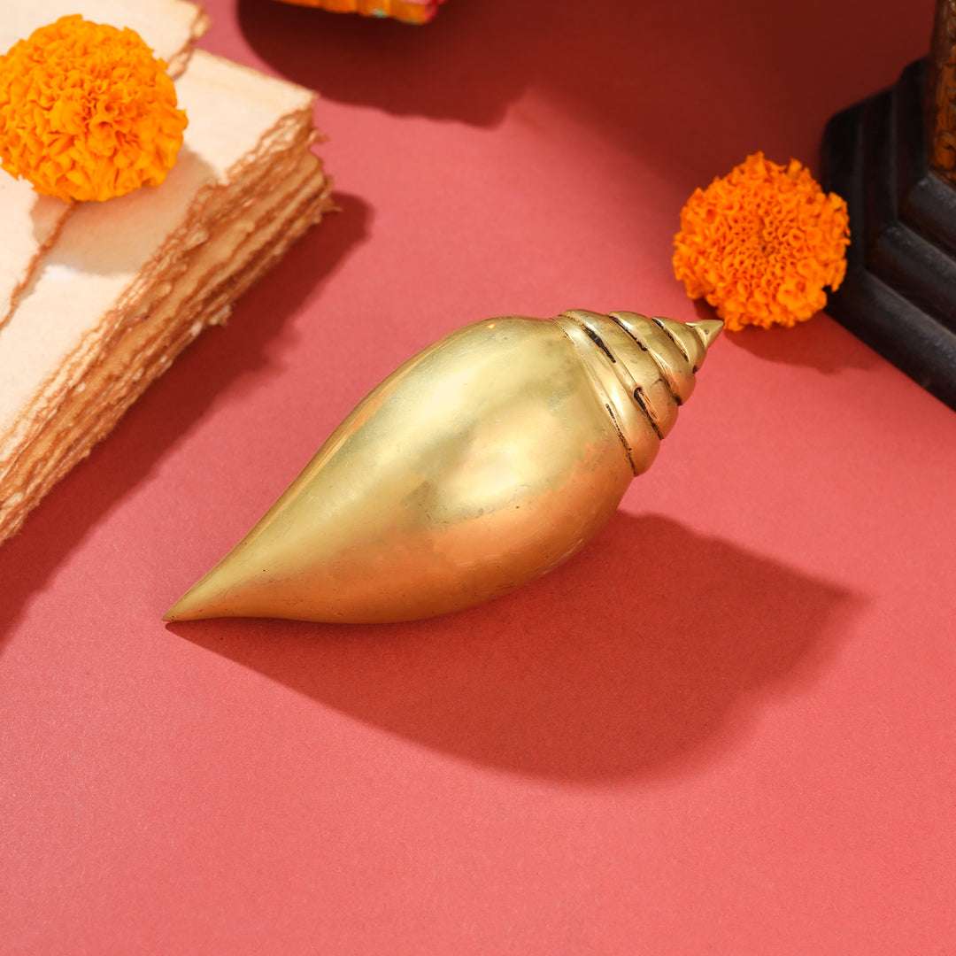 Brass Conch (5 Inch) - Image 3