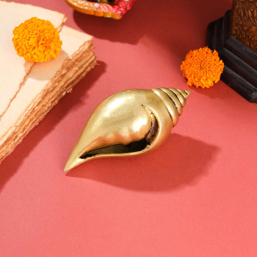 Brass Conch (5 Inch) - Image 4