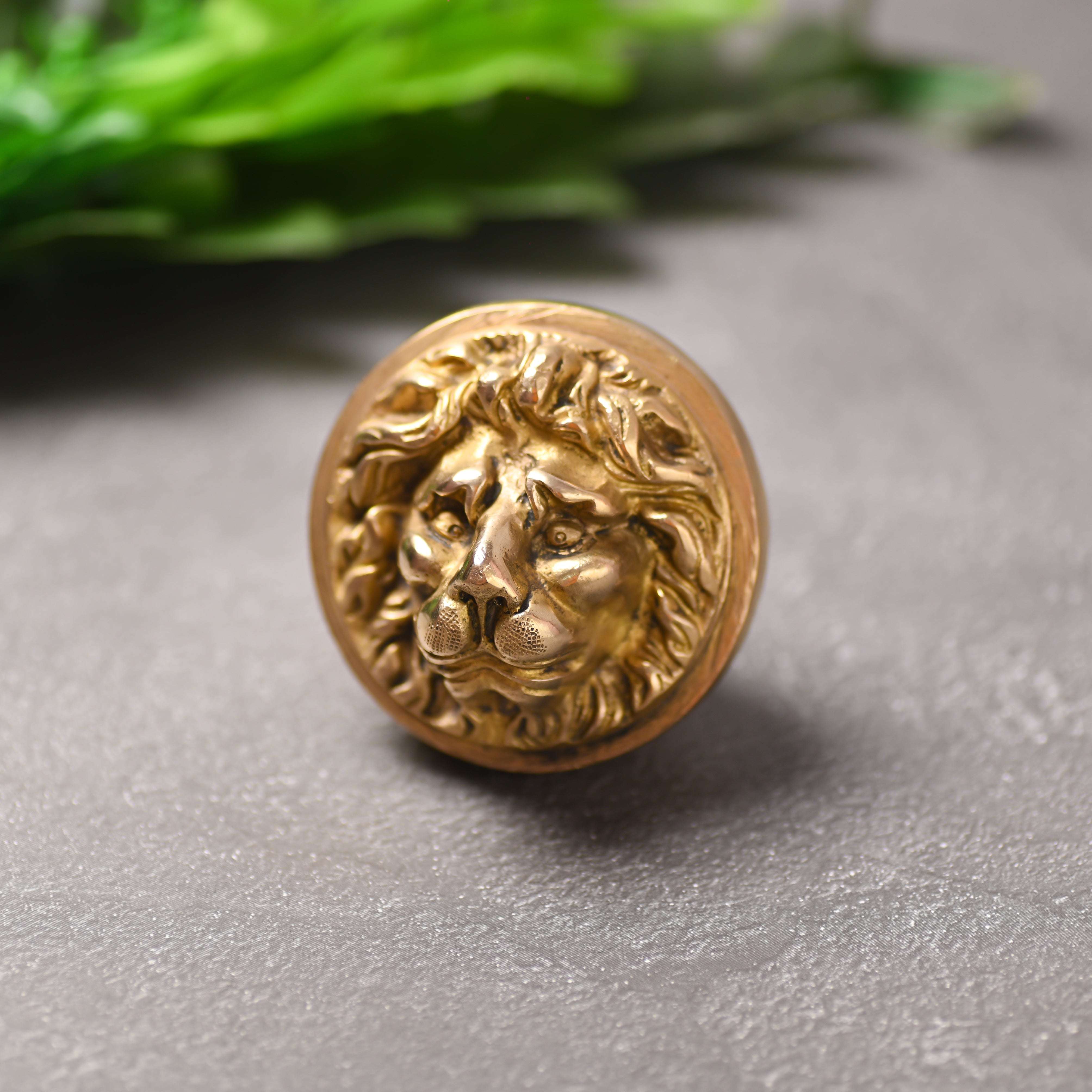 Brass Lion Face Drawer Knob (3 Inch)