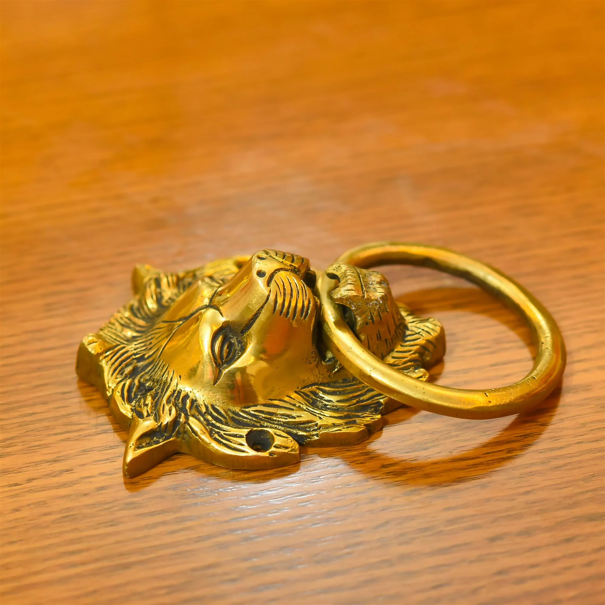 Brass Lion Door Knocker - Image 2