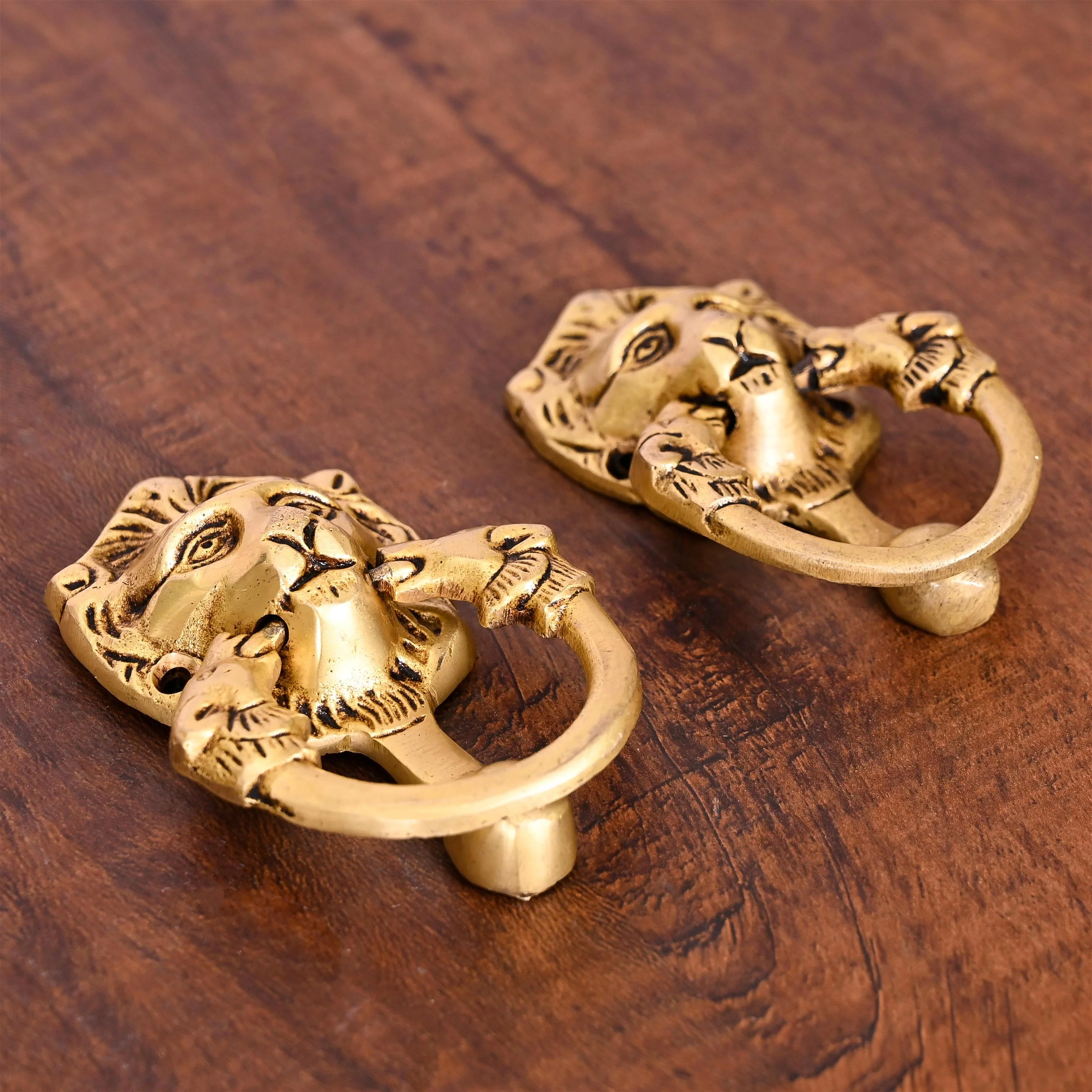 Brass Lion Face Drawer Pulls Pair (2 Inch) - Image 3