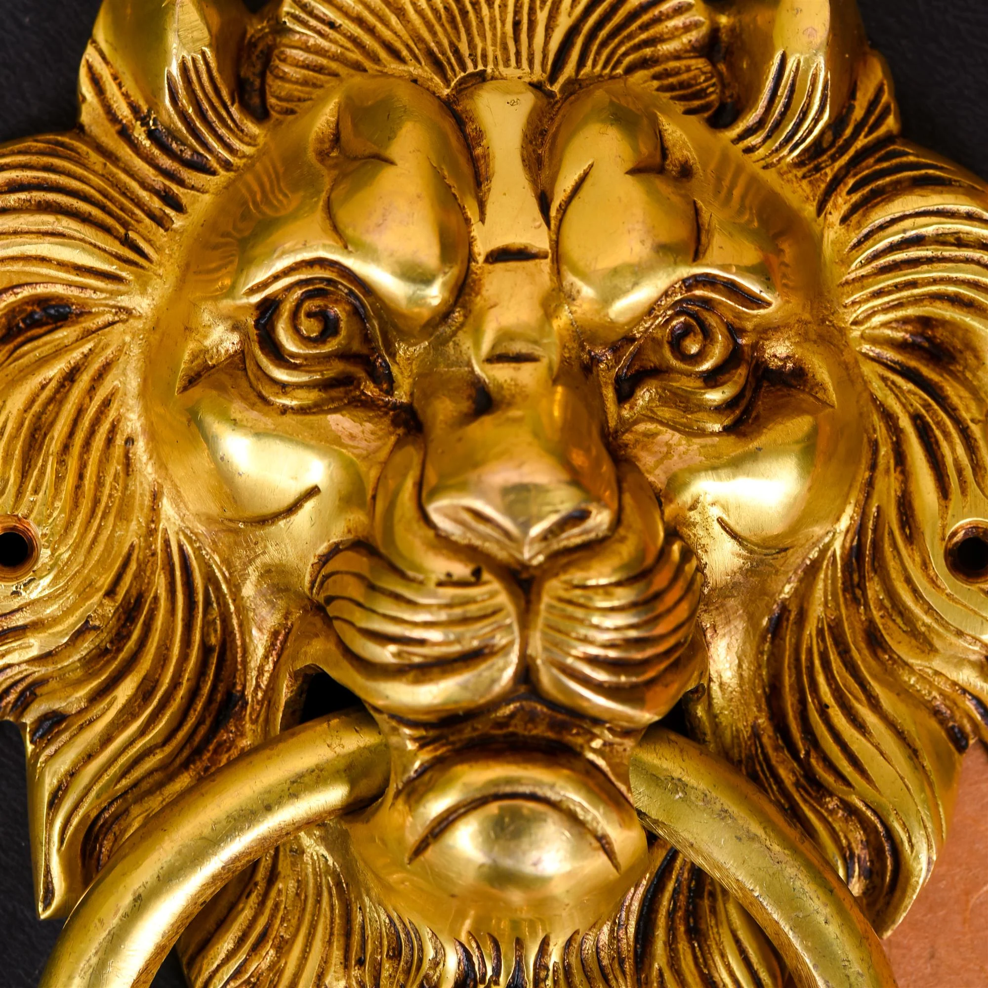 Brass Roaring Lion Face Door Knocker (8 Inch) - Image 2