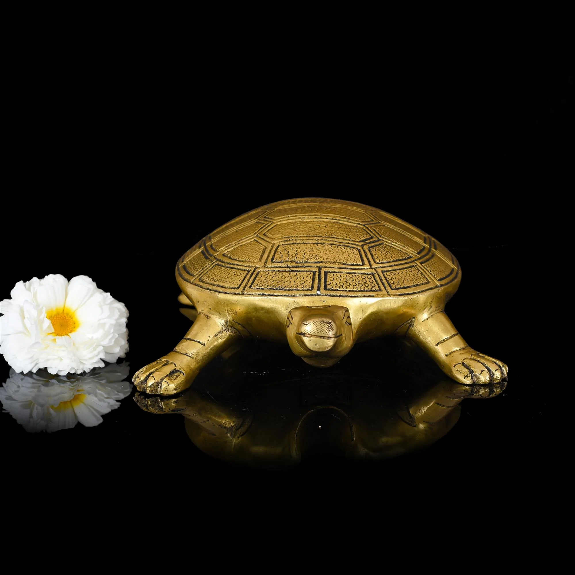 Brass Tortoise Figuruine Vastu/Feng Shui (3 Inch) - Image 3